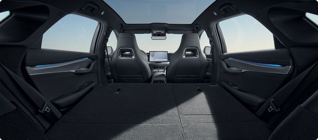 BYD auto