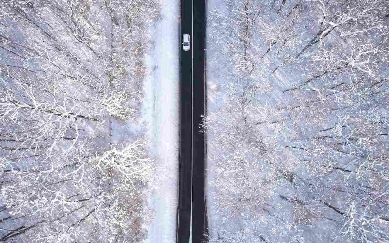 Zima drveće sneg poledica